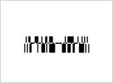 BarCode 1D GS12