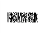 BarCode PDF417 MicroPDF417 58